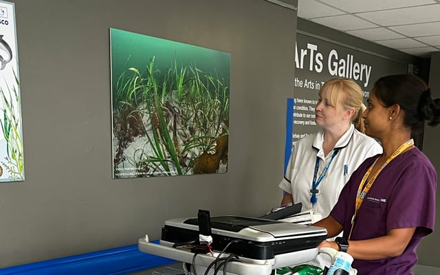 Explore Torbay: New HeArts Gallery exhibition opens 