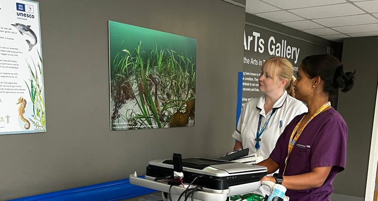 Hearts and Geopark Exhibition