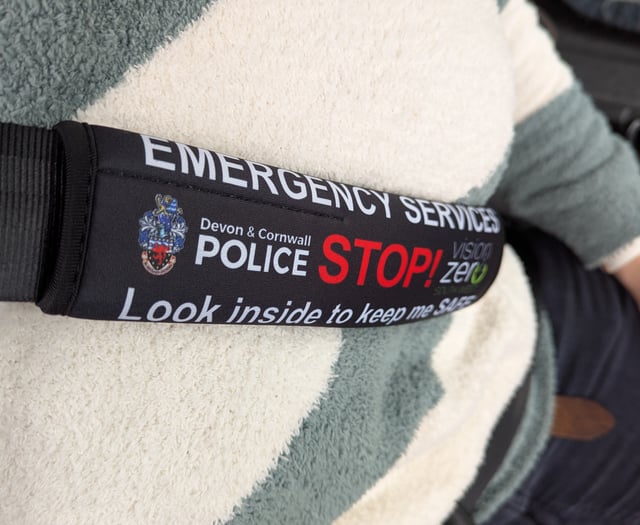 Free seatbelt covers for those with additional needs