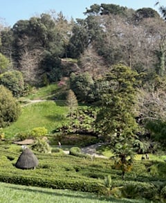 The maze at Glendurgan Garden - Elaine Hitch