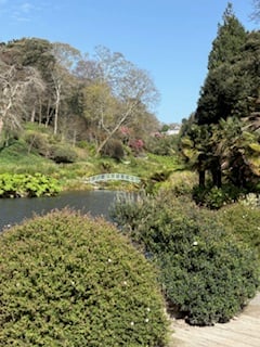“The Monet Bridge” at Trebah Gardens - Elaine Hitch