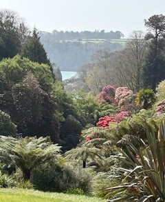 Trebah Gardens - Elaine Hitch