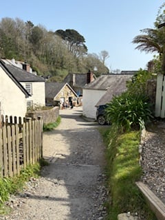 The village of Durgan - Elaine Hitch