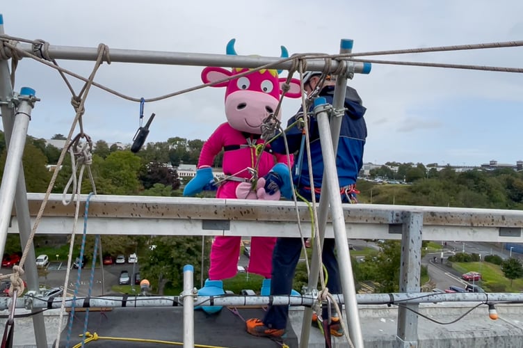 Some even took to fancy dress to hide their nerves as they abseiled down the iconic Derriford Hospital building.
