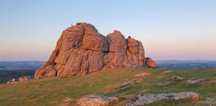 Dartmoor Park Seeks new visionary leader