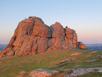 Dartmoor Park Seeks new visionary leader