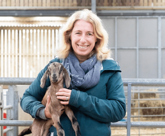 Public vote crowns Redlap as Britain’s Best New Cheese 2025