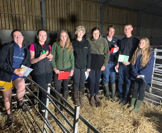 Ivybridge Young Farmers triumph at club lamb stock final