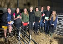 Ivybridge Farmers shine at lamb judging event