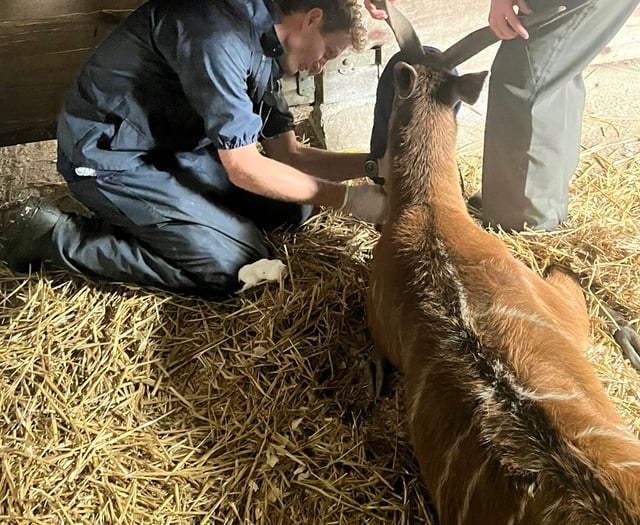 Tails from South Moor | TB or not TB by vet Ben Odbert