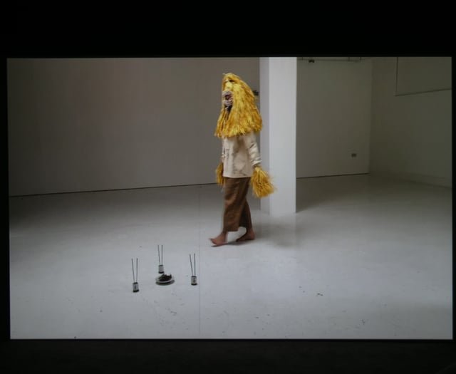 Harbour House Hosts Ashanti Hare Exhibition