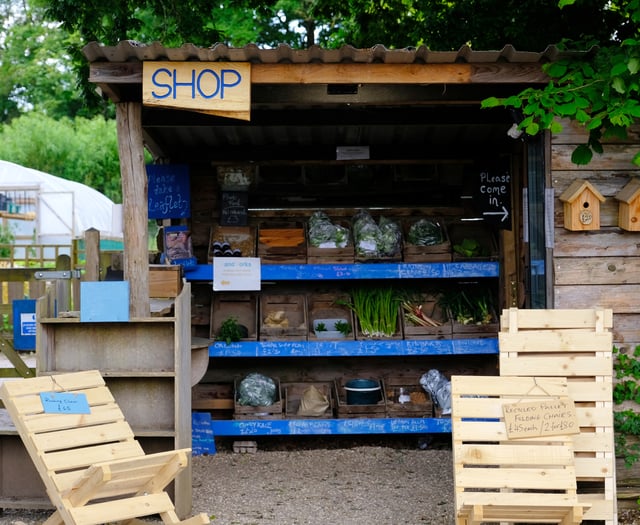 A visit to Landworks in Dartington