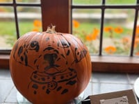 Coleton Fishacre welcomes Lady Butternut and Sir Gourdon