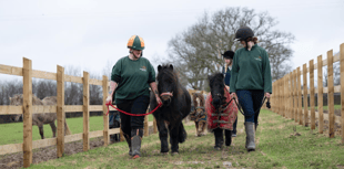 Devon sanctuary seeks £10k crowdfunding