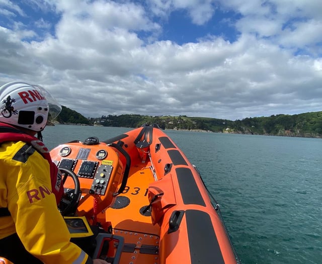 Dartmouth RNLI rescues dog and owner 