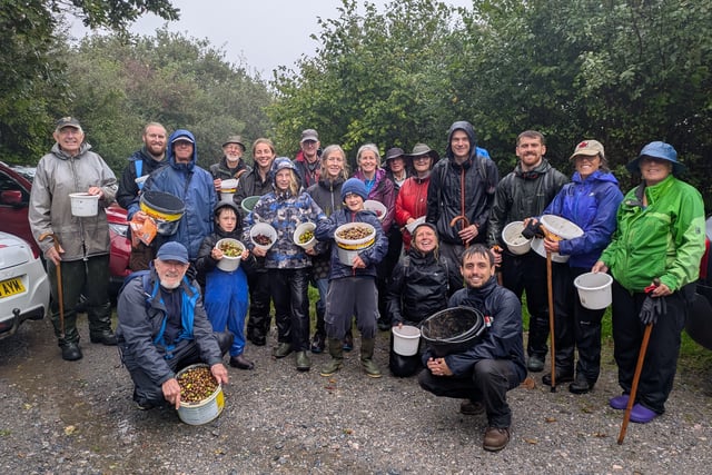 Moor Trees Volunteers Gather 343,500 Seeds
