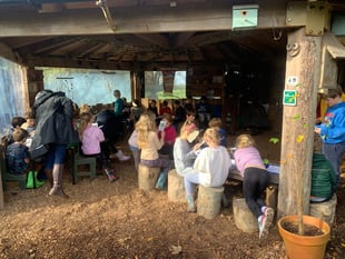 Stoke Fleming and Blackawton children become citizen scientists 