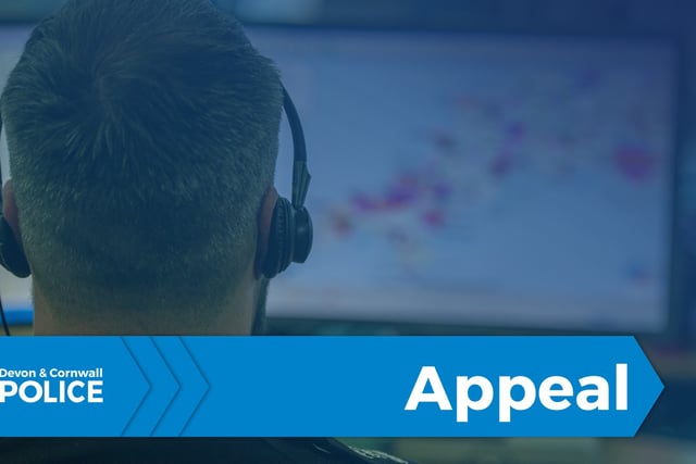 Witness appeal after Plymouth assault