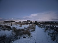 Blog: Snow in Devon