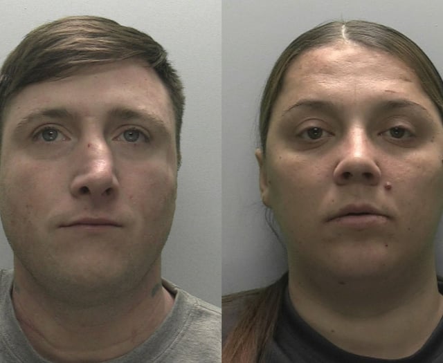 Pair jailed for brutal stabbing in Plymouth