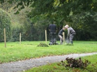 South Hams District Council sows seeds for urban wildlife meadows
