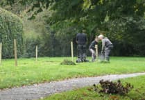 South Hams District Council sows seeds for urban wildlife meadows in Ivybridge