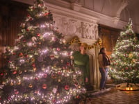 Experience King Arthur's legend at Buckland Abbey this Christmas