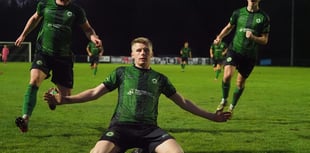 Another brace from Burrell inspires the Ivies