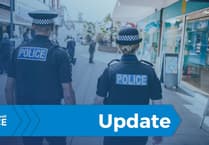 Kingsbridge arrest: burglary, assault charges