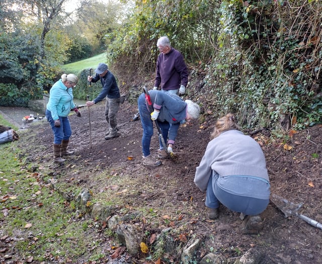 Nature Diary by Fiona van Es | Dirty work for willing hands