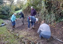 Community volunteers revitalise village spring for nature