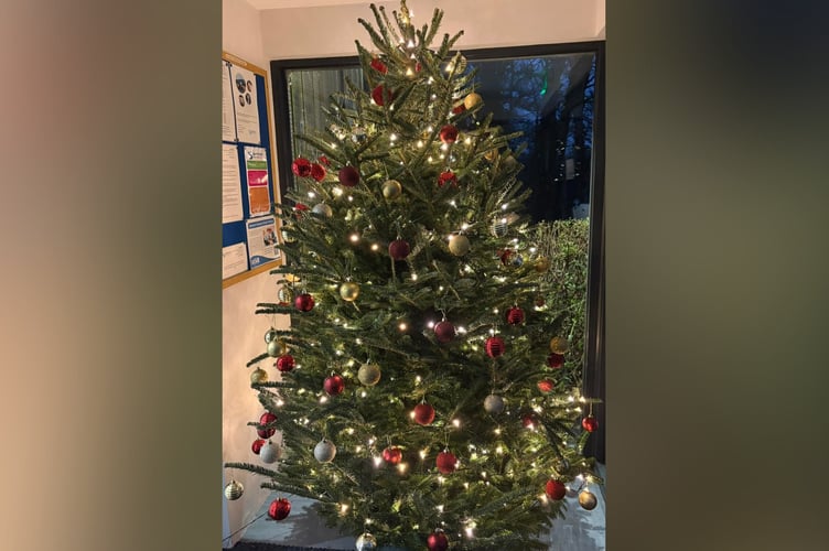 Selworthy Vets Remembrance Tree.