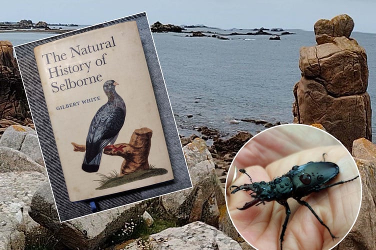 Leisure time in Brittany