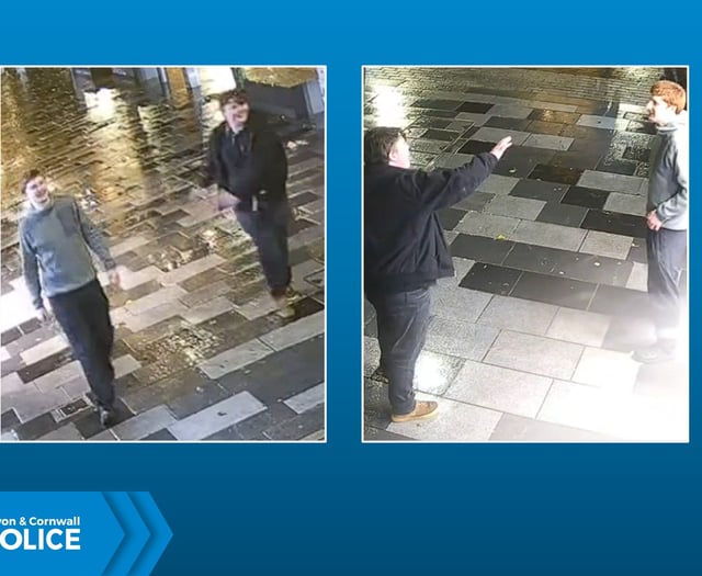 Police seek help identifying Plymouth assault suspects