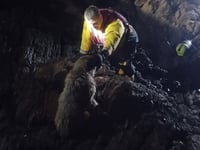Dog rescued from rocks by lifeboat  team