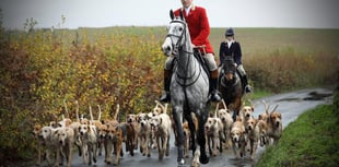 Devon hunts oppose trail hunting ban