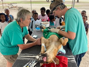 Lilly Cross' Botswana Vet Trip