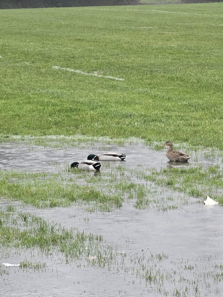 A wet Rackerhayes pitch