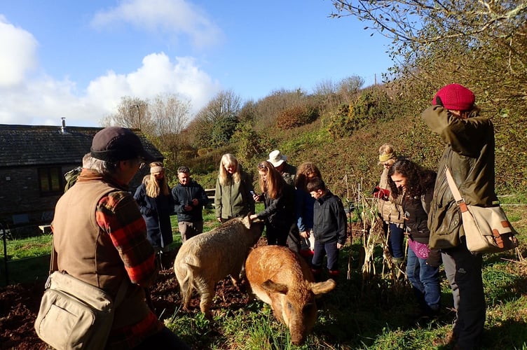 Meet the Pigs event with Devon Rewilding Network