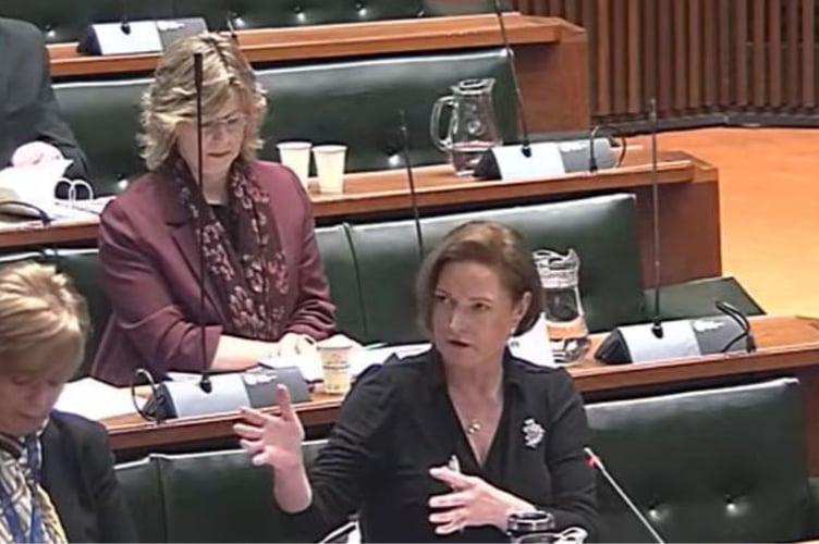 PCC Alison Hernandez addresses the Police and Crime Panel in Plymouth