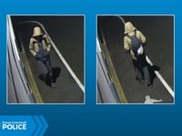 Devon and Cornwall Police seek witness in fatal Ashburton collision