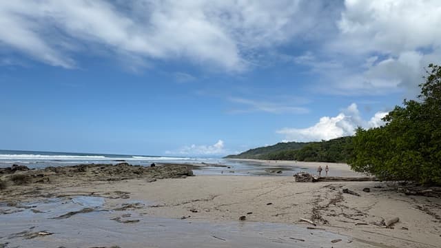 Nature Diary by Mike Hitch | costa rica's vibrant birdlife at curu
