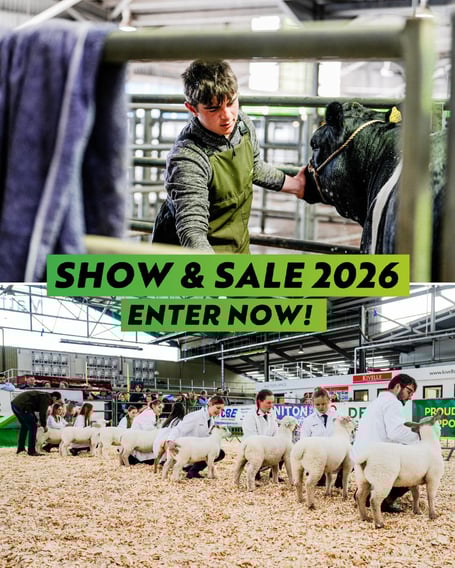 An invitation to enter the Devon YFC County Livestock Show & Sale