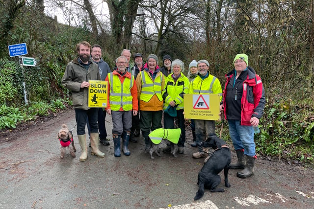 Volunteers help toads cross roads