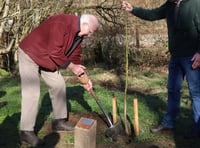 Tree warden celebrated with ceremonial tree planting