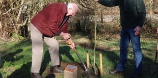 Tree warden celebrated with ceremonial tree planting