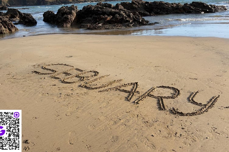 Sebuary - Stephen Took