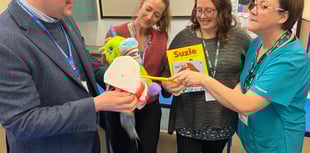 Dental programme launched to improve children's oral health