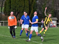 Beesands deliver a 10/10 performance against Liverton reserves