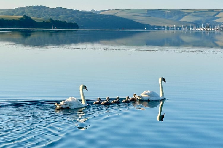 Kingsbridge Estuary Source Gary Jolliffe
